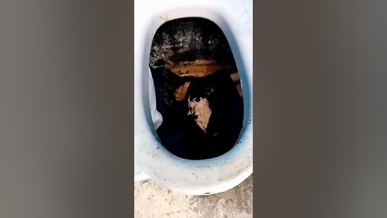 Спрятался в туалете - YouTube