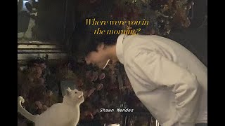 Where Were You In The Morning? - Shawn Mendes ✿ แปลไทย ⊹ ᴛʜᴀɪsᴜʙ