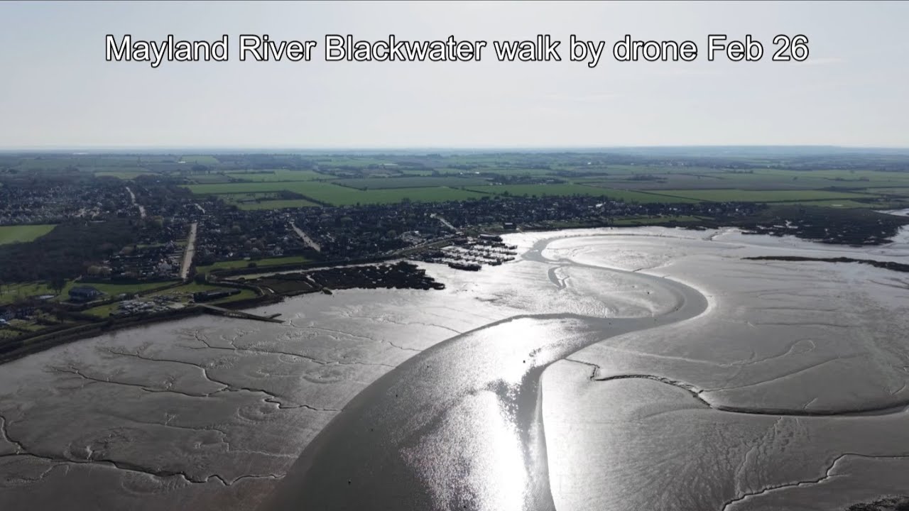 Mayland River Blackwater walk by drone Feb 26
