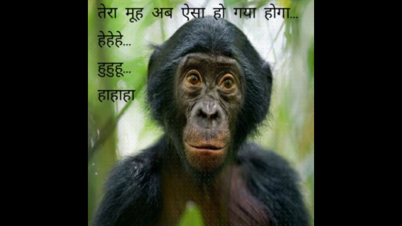 Funny rajasthani 