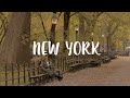 뉴욕 일상 브이로그 / 가을 속 센트럴파크, 행복한 이별, 미국 대선 뉴욕 현지 반응, 고양이 임보, 프리랜서의 하루, 미국 직장인