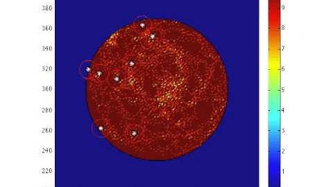 Simulation Vicsek Model