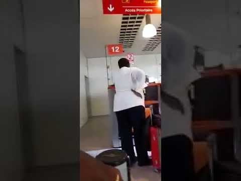 Video: Paka Sio Mbwa Ndogo