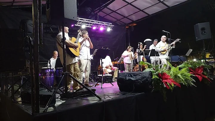 Medley Navideo - Edwin Coln Zayas y su taller camp...