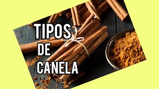 Descubriendo los diferentes tipos de canela Una experiencia Aromatica"