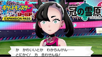 ポケモン剣盾