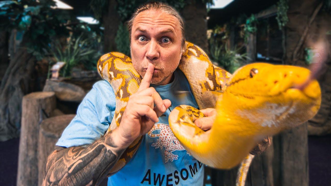 vlogs in spanish GETTING A NEW HUGE SNAKE!! DON'T TELL MY WIFE!!! | BRIAN BARCZYK