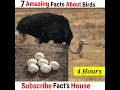 पक्षियों से जुड़ी 7 रोचक तथ्य | 7 Amazing Facts About Birds | Birds Fact in Hindi | #shorts