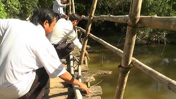 Tin Tức 24h : Hiểm nguy từ những cây cầu xuống cấp nghiêm trọng tại Quảng Trị