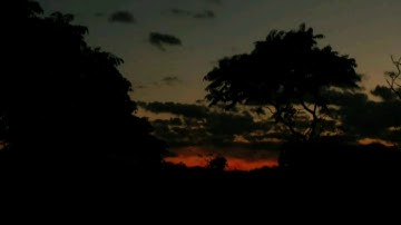 سورة المسد للشيخ رعد محمد الكردي