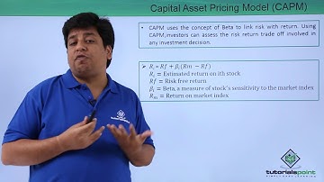 Analysis of Investment - Capital Asset Pricing Model