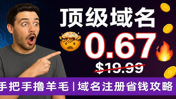 🤯 疯了！顶级域名 10 年只要 $6.70！ 史上最低价，最后机会快抢！【豌豆分享】