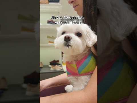 Que nota você