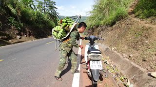 Huaj Ham Thiab Poj Niam Mus Ntov Txiv Tsawb Muag 6 Hli 232020