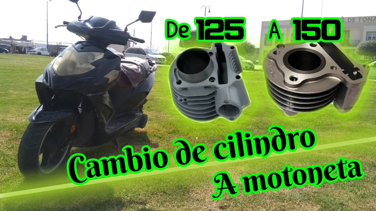 Motore Con Cambio Bühler 12V DC 15 Giri/min – Reversibile – Made In Germany