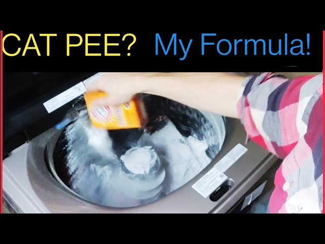 Cat Urine Smell Be Gone: The Ultimate Guide for Fresh Clothes 3 sddefault