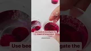 #membrane  permeability lab #scienceteacher #sciencelab