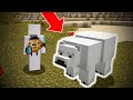 MINECRAFT ГЭХДЭЭ МАНАЙ НАЙЗ БААВГАЙ 🐻