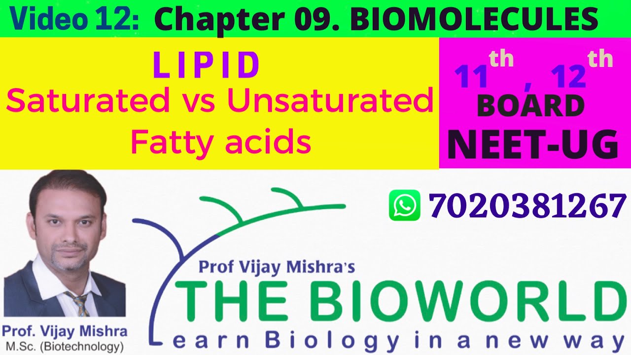 VIDEO 14 SATURATED vs UNSATURATED FATTY ACIDS