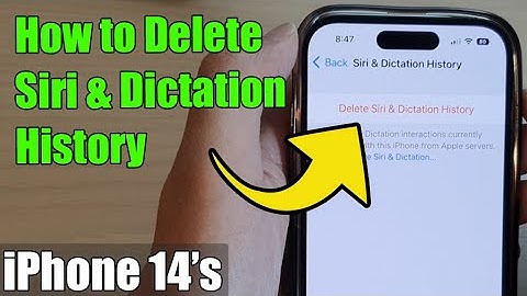 iPhone 14/14 Pro Max: How to Delete Siri & Dictation History