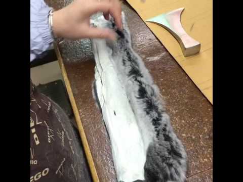 How To Make Chinchilla Coats 2 You How To Make Chinchilla Coats 2 You, How Many Chinchillas Does It Take Make A Fur Coat