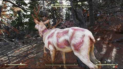 Savage Divide Scene Random Encounter Hotspot #25 - Fallout 76