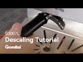 G3007L Espresso Machine | Descaling Tutorial | Gemilai