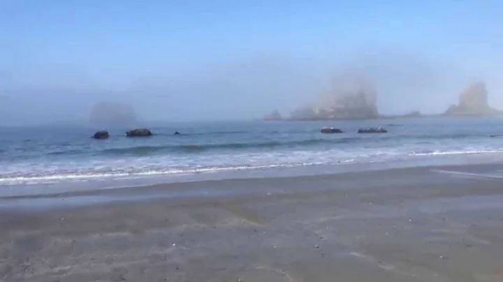 Misty Oregon Beach
