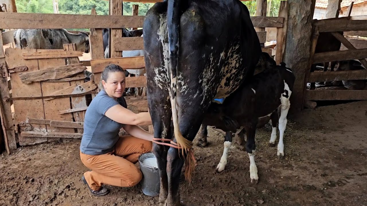 ELA DECIDIU FICAR NA ROÇA COM OS PAIS TIRANDO LEITE PARA SUSTENTAR A FAMÍLIA 