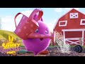 SUNNY BUNNIES - Gardening Fun | Season 4 | Cartoons for Children