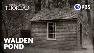 Celebrity When Henry David Thoreau Moved to Walden Pond | PBS Profile