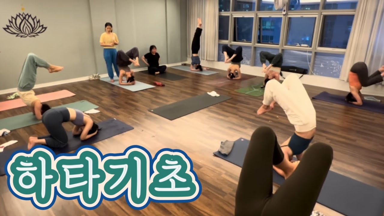 [엔젤요가] 하타기초 수업영상 | 각이좋아 역자세 후굴까지😉