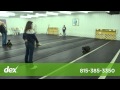 First Place Dog Training First Place Dog Training