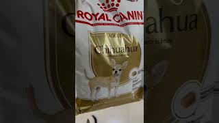 Royal Canin for chihuahua #shorts