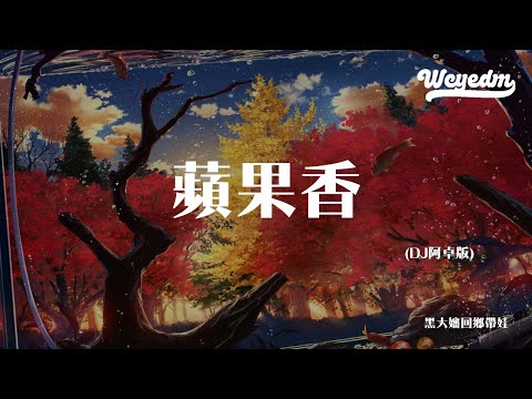 黑大婶回乡带娃 - 苹果香 (DJ阿卓版)「六星街里还传来 巴扬琴声吗」【動態歌詞/pīn yīn gē cí】#黑大婶回乡带娃 #苹果香 #動態歌詞