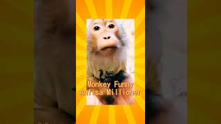 Monkey Funny moments 2022 animals baby ❤️приколы с животными❤️Подборка приколов