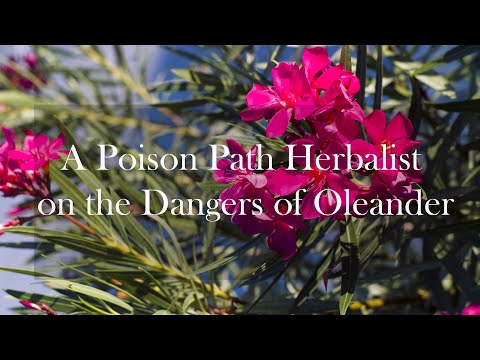 Video: De Schoonheid En Het Gevaar Van Oleander