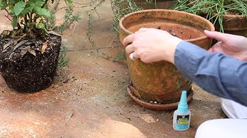 DAP Rapid Fuse All Purpose Adhesive (Quick Clip)