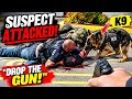 K9 Kylo Stops Homicide Suspect Before Officers Ope.