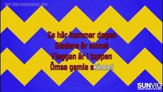 Godmorgon - (cover: Kikki Danielsson, Chips) - KARAOKE