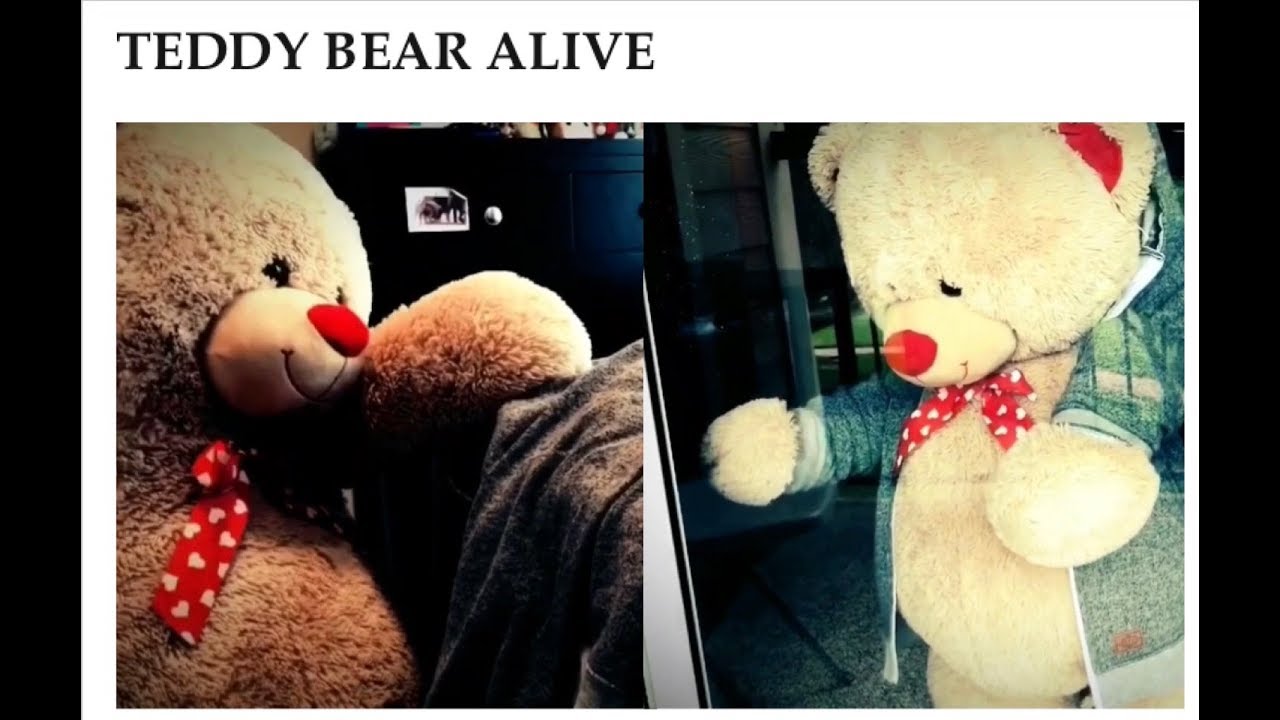 Soft Toy Teddy Bear Alive! BY Reyansh and Bhavya Fun Time YouTube