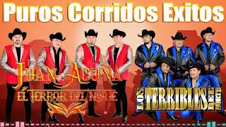 Los Terribles Del Norte vs Juan Acuña y El Terror Del Norte 🔥 Las Mejores Canciones 🔥Puros Corridos