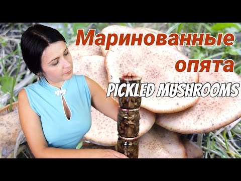 Маринованные опята - самые вкусные опята! / Vinegar pickled honey fungus recipe ♡ English subtitles