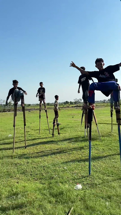 action of the bayalangu stilt group