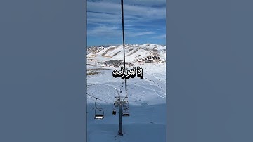 قرآن كريم بصوت الشيخ ياسر الدوسري #اكسبلور #المصحف #لايك #تيك_توك #ترند #راحة_نفسية #الرحمن #دويتو .
