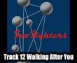 Foo fighters  walking after you