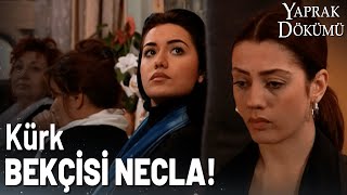 Necla, Leyla'ya Ayar Oluyor! - Yaprak Dökümü Özel Klip