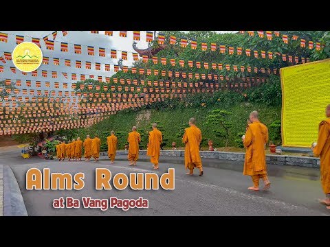 Alms Round | 3 Days Before Buddha's Birthday Celebration | Vietnam