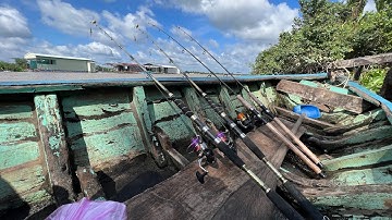 CÂU CÁ SÔNG TRÊN BÈ, MỒI CÂU CÁ CÁM THƠM DÍNH TOÀN CÁ BỰ