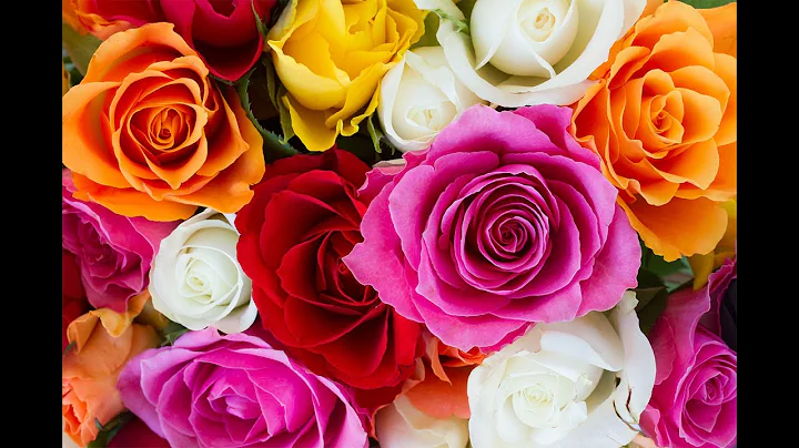 Karen Maurer Funeral